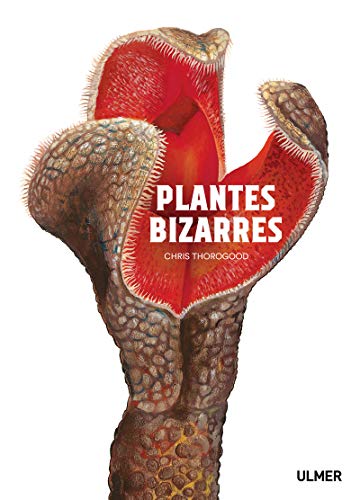 PLANTES BIZARRES
